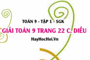 Giải Toán 9 trang 22 tập 1 Cánh Diều